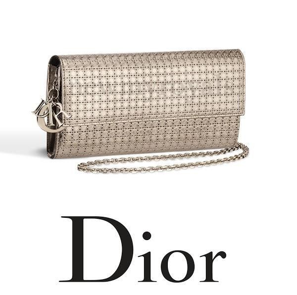 multi pochette dior